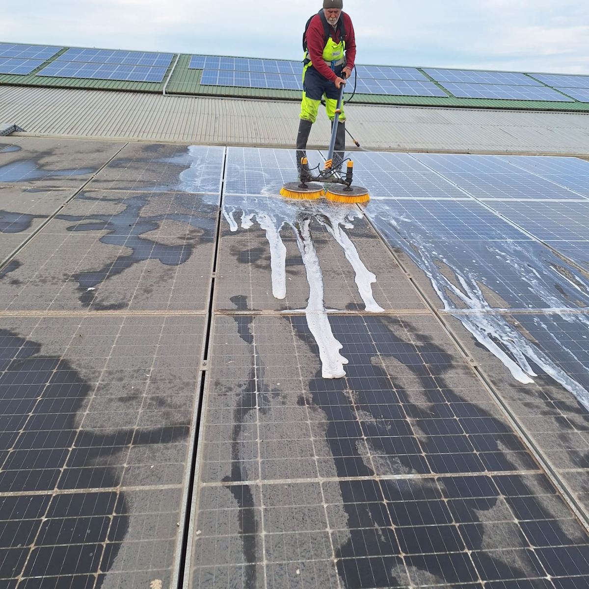 Lucrare Lorclean SRL în Constanța — 3