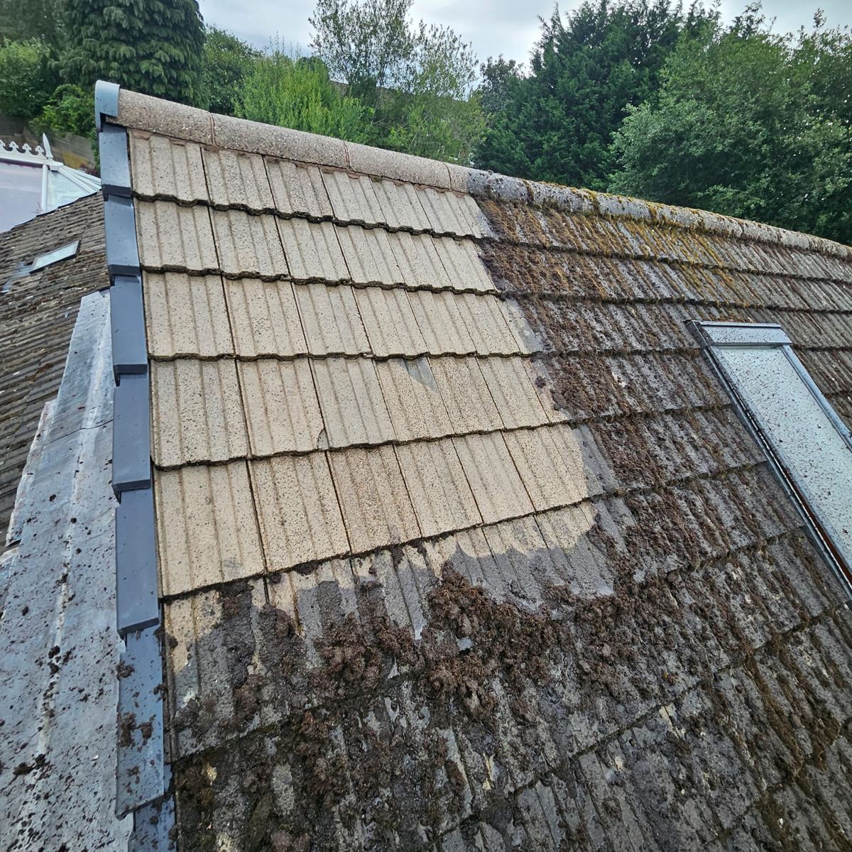 Lucrare NCC Services Romania SRL în Vaslui — 3